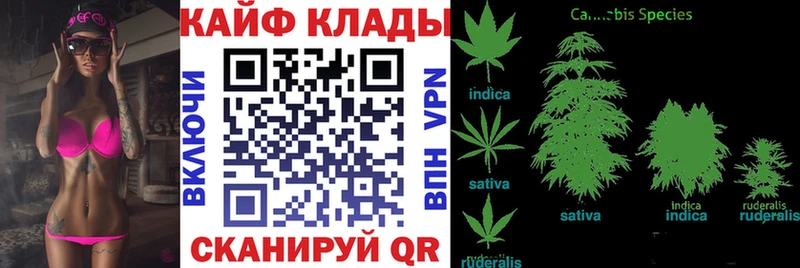 Продажа наркотиков Донской Alpha-PVP  АМФ  Конопля  МЕФ 
