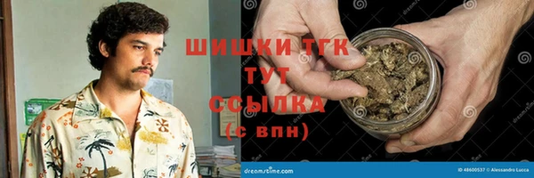 стаф Богородицк