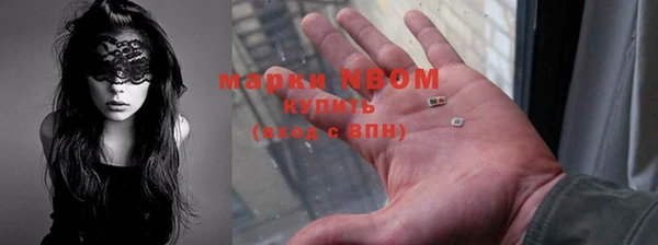 МДПВ Богородск