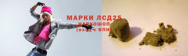 стаф Богородицк