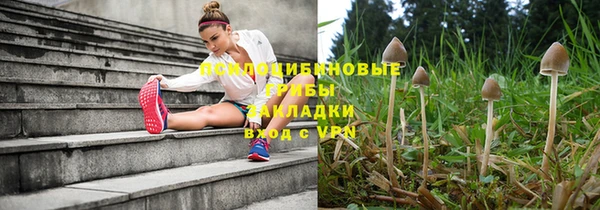 стаф Богородицк