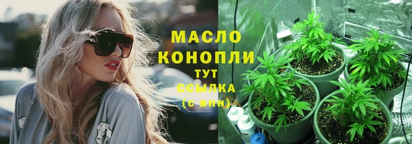 стаф Богородицк