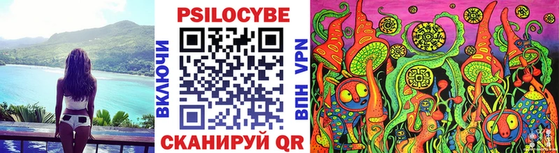 закладки  Донской  Галлюциногенные грибы мицелий 