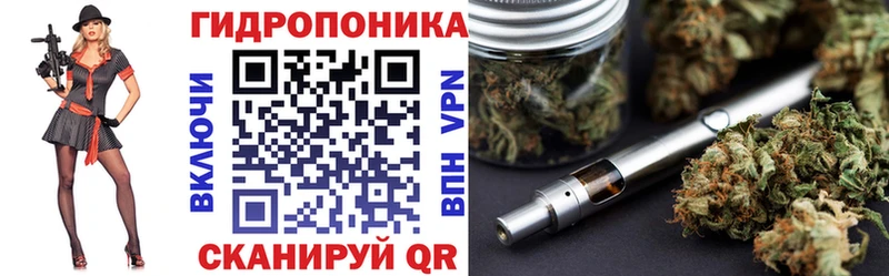 Конопля марихуана  Донской 
